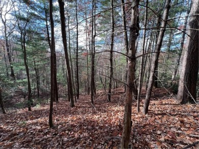 Lake Lot Sale Pending in Ellijay, Georgia
