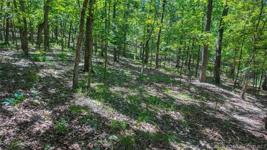 Build your dream home on Muirfield Drive! Discover the perfect - photo 13