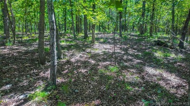 Build your dream home on Muirfield Drive! Discover the perfect - photo 15