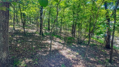Build your dream home on Muirfield Drive! Discover the perfect - photo 16