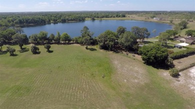 (private lake, pond, creek) Acreage For Sale in Tavares Florida