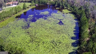 (private lake, pond, coastal) Lot Sale Pending in Adel Georgia