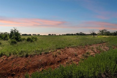 Lake Acreage For Sale in Palo Pinto, Texas