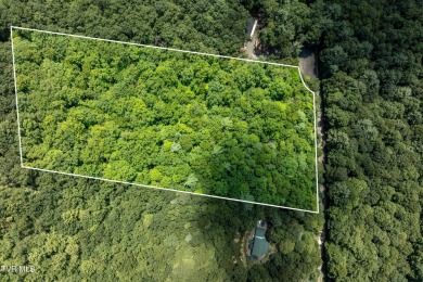 Lake Acreage For Sale in Butler, Tennessee
