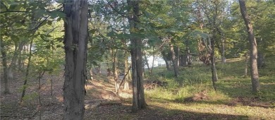 Linn Valley Lakes Lot For Sale in Linn Valley Kansas