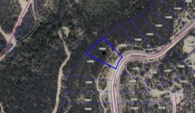 Lake Lot For Sale in Eagle Pass, Texas