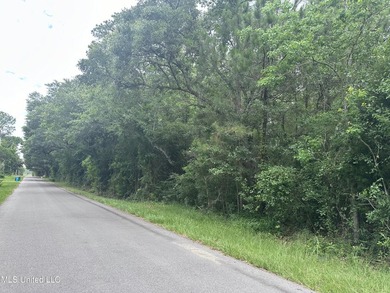 Double lot to build your home on or buy for future investment! - photo 1