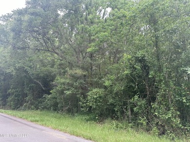 Double lot to build your home on or buy for future investment! - photo 2