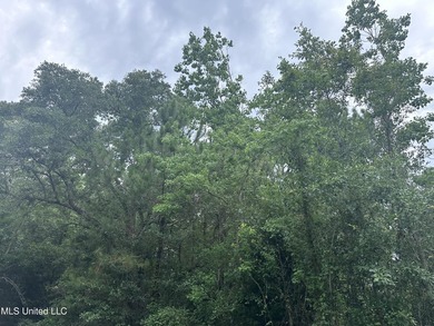 Double lot to build your home on or buy for future investment! - photo 3