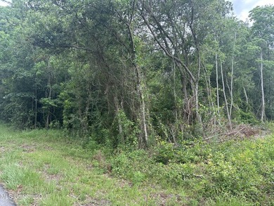 Double lot to build your home on or buy for future investment! - photo 4