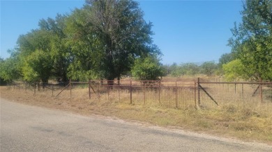 Lake Lot For Sale in Brownwood, Texas