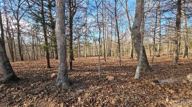 Lake Sherwood Lot For Sale in Lake Sherwood Missouri