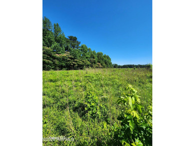 Rare opportunity to own four lots being offered together as a - photo 9