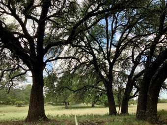  Acreage For Sale in Priddy Texas