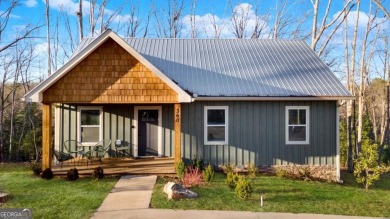 Lake Home For Sale in Morganton, Georgia