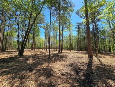 Kiamichi River Acreage For Sale in Big Cedar Oklahoma