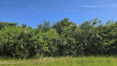 BUILD YOUR DREAM HOME IN THE COUNTRY! Nature abounds in this - photo 18