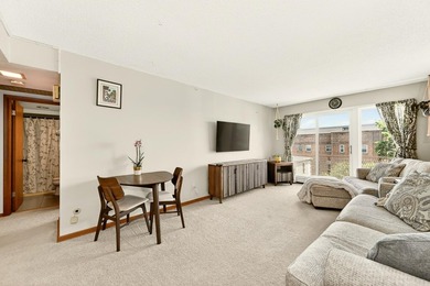 Enjoy downtown Rochester living in this spacious 2-bedroom - photo 6