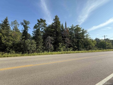 Lake Superior - Alger County Acreage For Sale in Munising Michigan