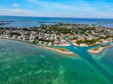 Discover a luxurious oceanfront haven on Duck Key, Florida - photo 12