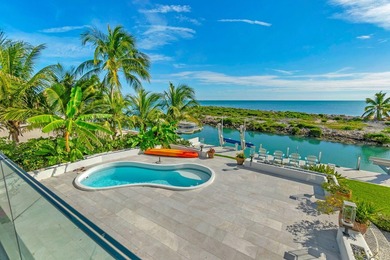 Discover a luxurious oceanfront haven on Duck Key, Florida - photo 21