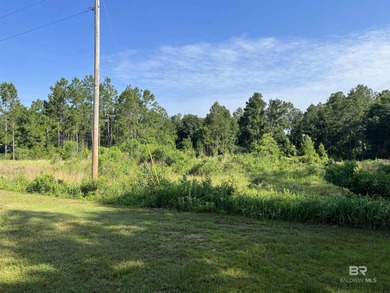 No HOA and 2 acres in Gulf Shores-build your coastal getaway or - photo 1
