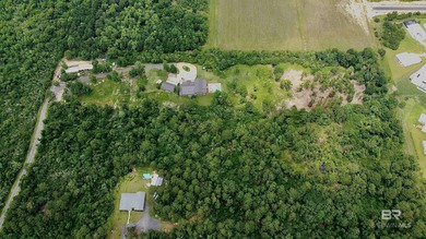 No HOA and 2 acres in Gulf Shores-build your coastal getaway or - photo 3