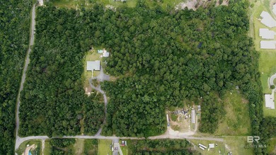 No HOA and 2 acres in Gulf Shores-build your coastal getaway or - photo 4