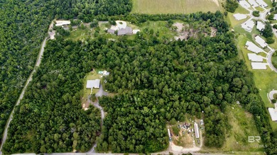 No HOA and 2 acres in Gulf Shores-build your coastal getaway or - photo 5