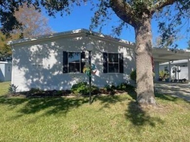 Lake Home For Sale in Ormond Beach, Florida