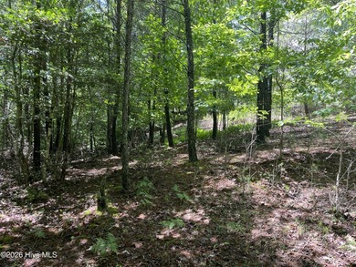 1.43 acre building lot in the nicest Subdivision in Murphy area - photo 2