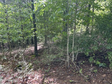 1.43 acre building lot in the nicest Subdivision in Murphy area - photo 3
