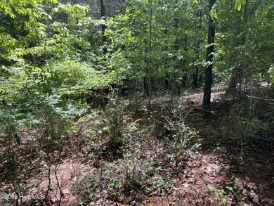1.43 acre building lot in the nicest Subdivision in Murphy area - photo 4