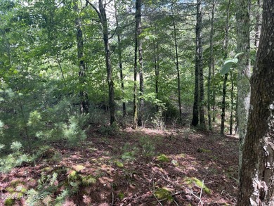 1.43 acre building lot in the nicest Subdivision in Murphy area - photo 5