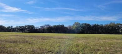 Lake Lot For Sale in Alvarado, Texas