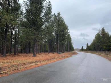 Rare opportunity! Approx. 1/3-acre lot on Dawn Drive, right next - photo 5