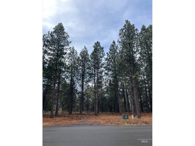Rare opportunity! Approx. 1/3-acre lot on Dawn Drive, right next - photo 4