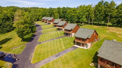Charming and cozy, this Beaver Creek Resort cabin offers the - photo 14