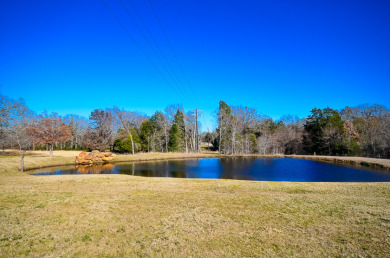 4 Acres, Big Views & Even Bigger Possibilities - photo 40