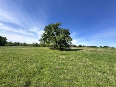 4 Acres, Big Views & Even Bigger Possibilities - photo 23