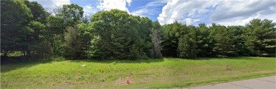 Rice Lake - Anoka County Acreage Sale Pending in Linwood Twp Minnesota