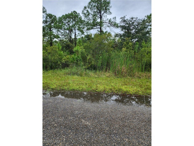 Lehigh Acres Area Lot Sale Pending in Lehigh Acres Florida