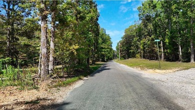 Watauga Lake Acreage For Sale in Butler Tennessee