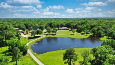 Lake Commercial For Sale in Malakoff, Texas