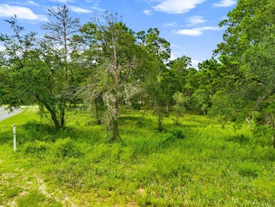 If you have been waiting for a great lot to come available in - photo 11