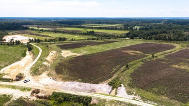 Two Ponds Duck Club is a premier duck hunting tract totaling 650 - photo 5