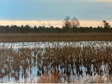 Two Ponds Duck Club is a premier duck hunting tract totaling 650 - photo 6
