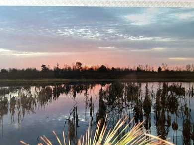 Two Ponds Duck Club is a premier duck hunting tract totaling 650 - photo 7