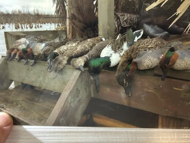 Two Ponds Duck Club is a premier duck hunting tract totaling 650 - photo 10
