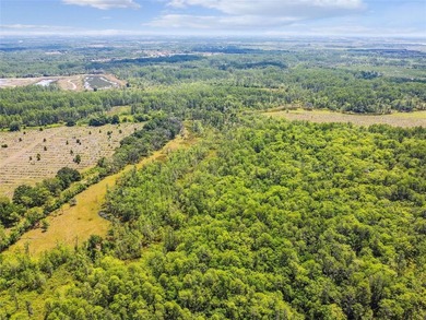 The St Rd 557 Lake Alfred property (Parcel ID: - photo 8